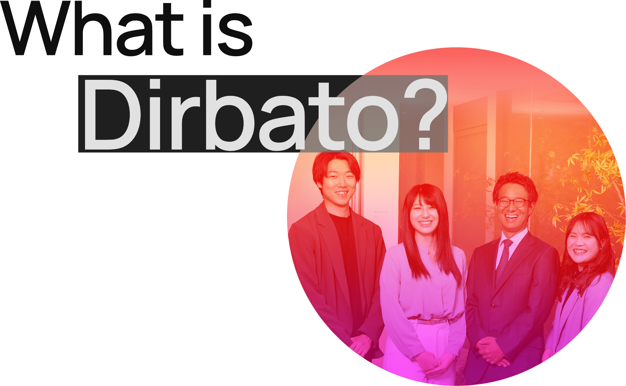 What is Dirbato?